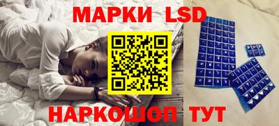 гидра Братск